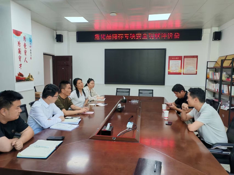 2026.4.10危化品专项安全现状评价会