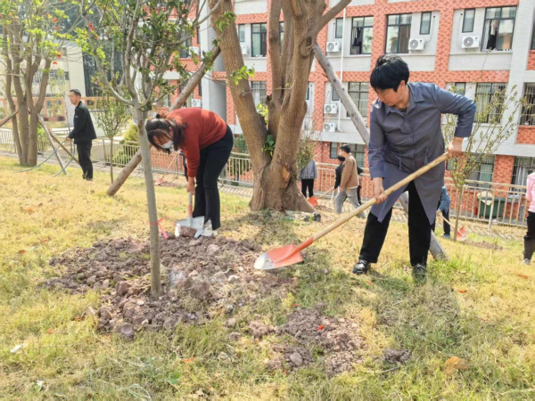 机关植树6