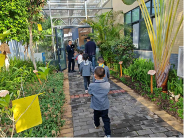 萌娃探春：走进农业大棚的奇妙之旅(1)(2)469