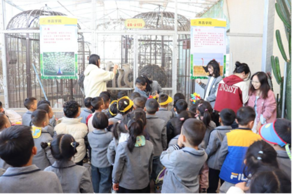 萌娃探春：走进农业大棚的奇妙之旅(1)(2)651