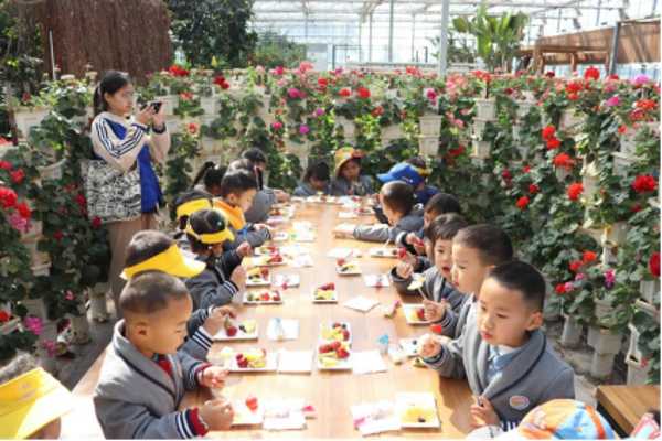 萌娃探春：走进农业大棚的奇妙之旅(1)(2)980