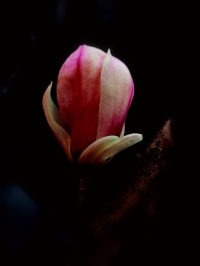 微信图片_20260331085111