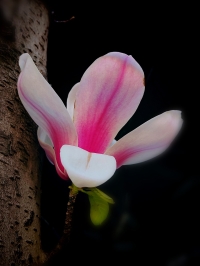 微信图片_20260331085205