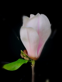 微信图片_20260331085216