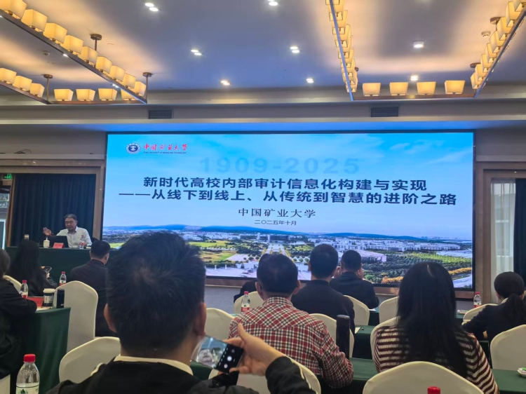 2025.10.29内审信息化构建