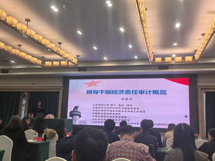 2025.10.30经济责任审计概览