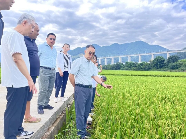 微信图片_2025-09-24_155131_643 微信图片_2025-09-24_155131_643