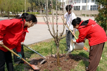 同学 (2) 同学 (2)