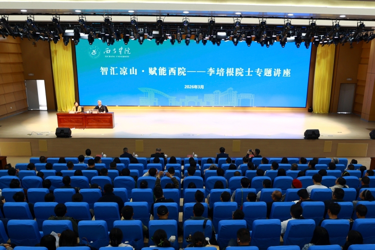 大场景 (4) 拷贝 大场景 (4) 拷贝