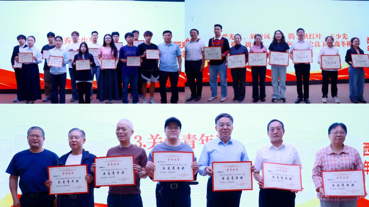 图片7