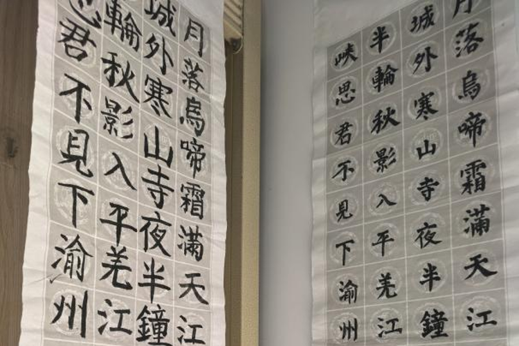 图片11 图片11